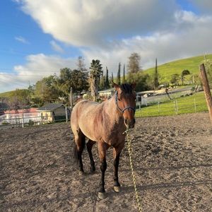 Meet your Posher, Fabian